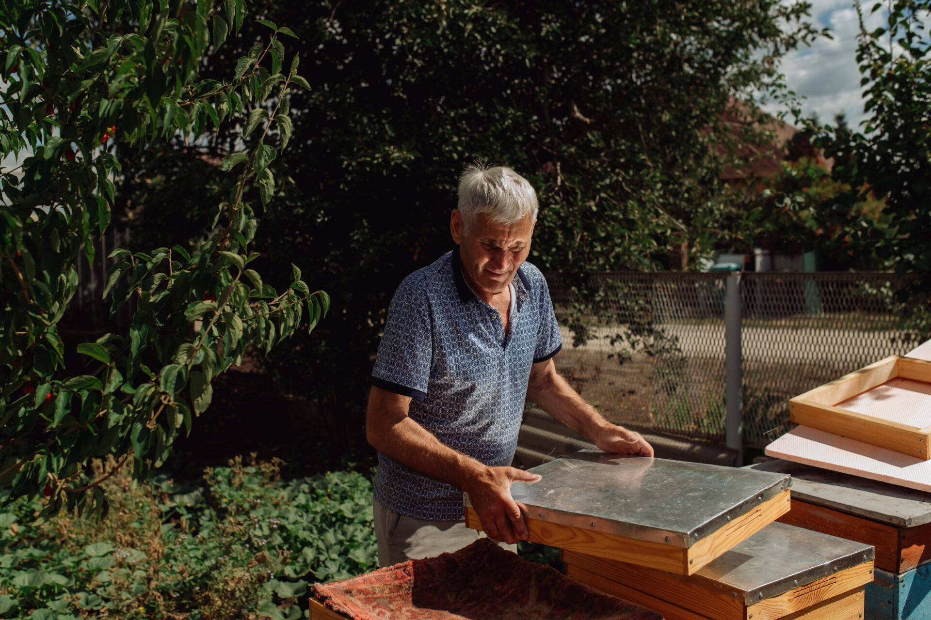 Imker mit neuem Bienenstock