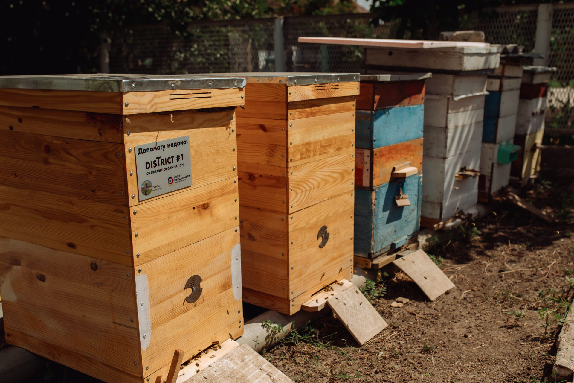 Nahaufname von Bienenstöcke mit TERRA TECH Logo